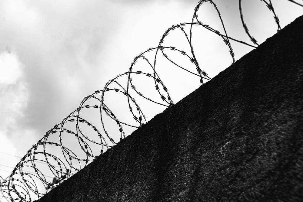 Designed by Freepik. www.freepik.com.